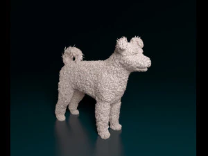 Pumi dog 3D Print Model
