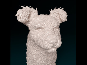 Pumi dog Modelo de Impressão 3D