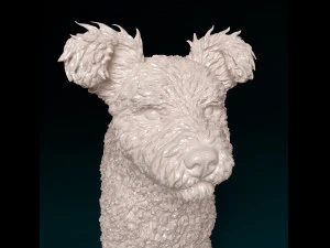 Pumi dog 3D Print Model