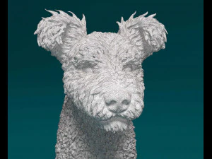 Pumi dog 3D Print Model