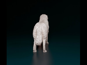 Pyrenean Mountain dog 3D Print Model