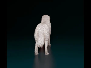 Pyrenean Mountain dog 3D Print Model