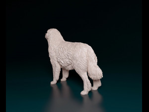Pyrenean Mountain dog 3D Print Model