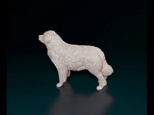 Pyrenean Mountain dog 3D Print Model