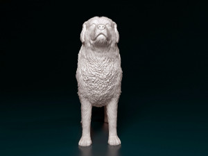Pyrenean Mountain dog 3D Print Model