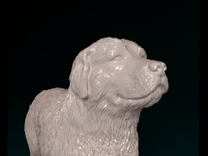 Pyrenean Mountain dog 3D Print Model