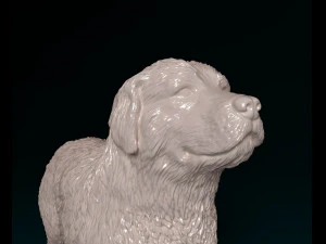 Pyrenean Mountain dog 3D Print Model