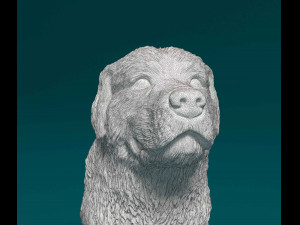 Pyrenean Mountain dog 3D Print Model
