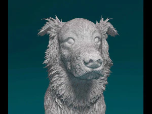 Retriever sitting 3D Print Model