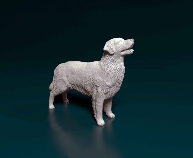 Golden Retriever 3 3D-printmodel .c4d .max .obj .3ds .fbx .stl .blend 