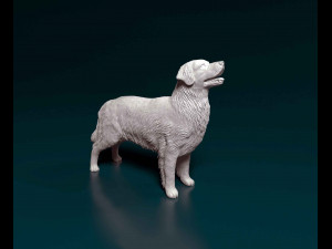 Golden Retriever 3 3D Print Model