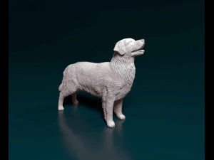 Golden Retriever 3 Modèles 3D en vedette