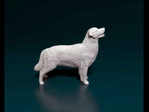 Golden Retriever 3 3D-printmodel