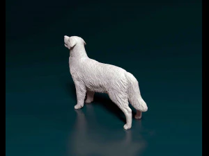 Golden Retriever 3 3D Print Model