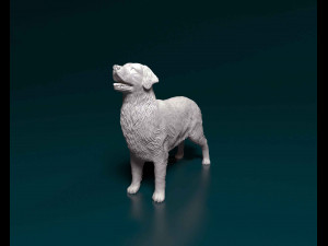 Golden Retriever 3 3D-printmodel