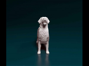 Golden Retriever 3 3D-printmodel