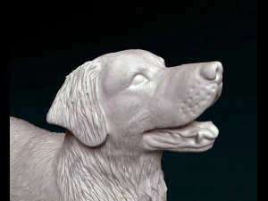 Golden Retriever 3 3D Print Model