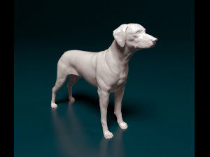 Rhodesian Ridgeback 3D-printmodel
