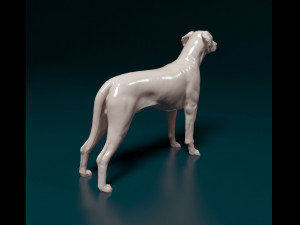 Rhodesian Ridgeback 3D Print Model