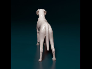 Rhodesian Ridgeback 3D Print Model