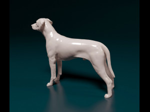 Rhodesian Ridgeback 3D Print Model
