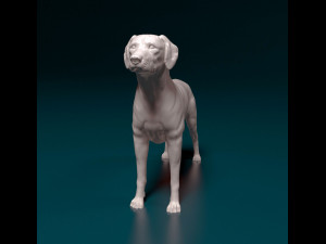 Rhodesian Ridgeback 3D Print Model