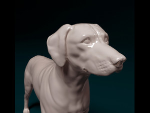 Rhodesian Ridgeback 3D Print Model