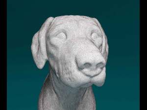 Rhodesian Ridgeback 3D Print Model