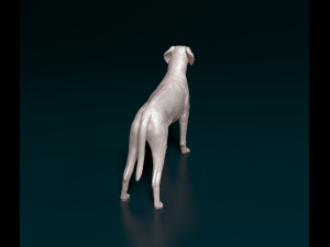 Rhodesian Ridgeback 3D Print Model