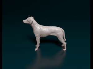 Rhodesian Ridgeback 3D Print Model
