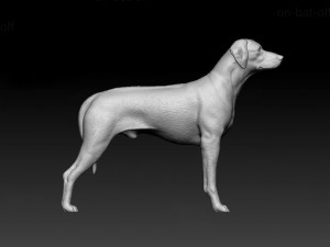 Rhodesian Ridgeback 3D Print Model