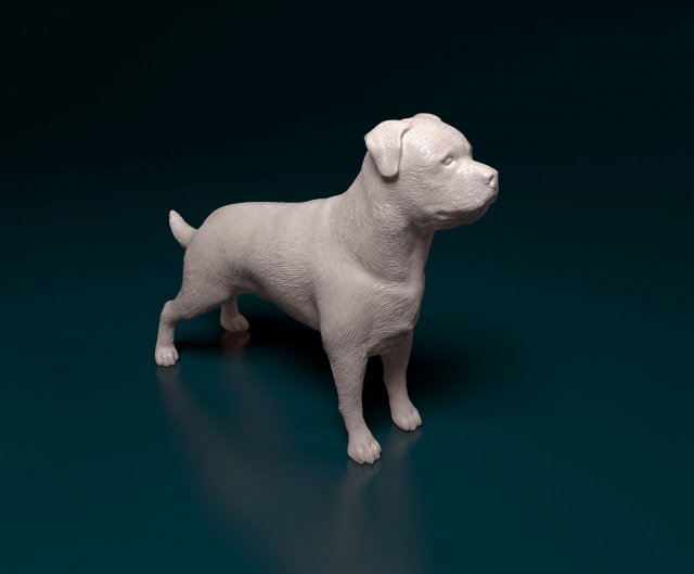 Rottweiler Modelo de impresión 3D .c4d .max .obj .3ds .fbx .stl .blend 