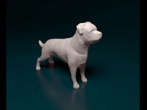 Rottweiler 3D Print Model