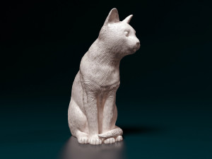 Russian Blue cat 3D-Druckmodell