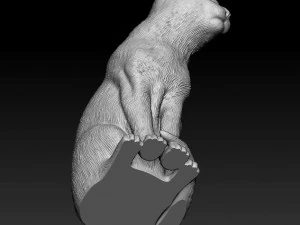 Russian Blue cat 3D Print Model