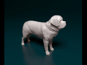 Saint Bernard dog Modelo de impresión 3D