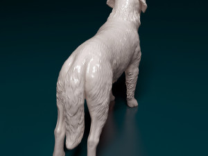 Saint Bernard dog Modèles 3D en vedette