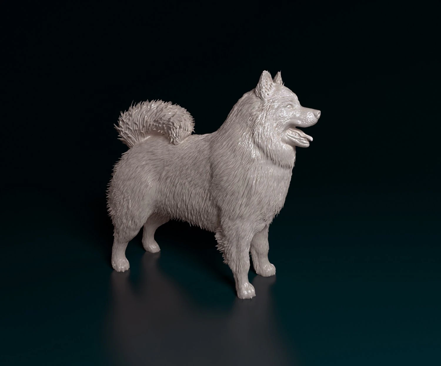 Samoyed 3D Print Model .c4d .max .obj .3ds .fbx .stl .blend