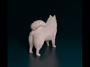 Samoyed 3D 打印模型