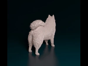 Samoyed 3D Print Model