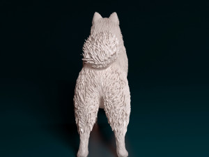 Samoyed 3D 打印模型
