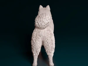 Samoyed 3D Print Model