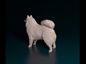 Samoyed 3D 打印模型