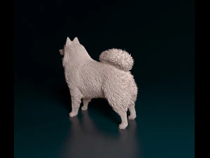 Samoyed 3D Print Model