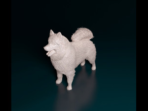 Samoyed 3D 打印模型