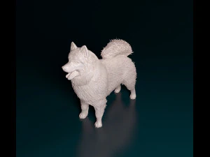 Samoyed 3D Print Model