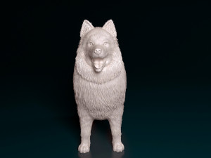 Samoyed 3D 打印模型