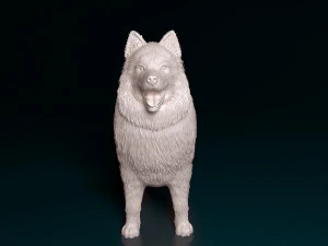Samoyed 3D Print Model