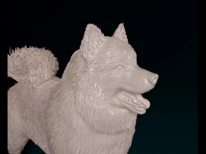 Samoyed 3D Print Model
