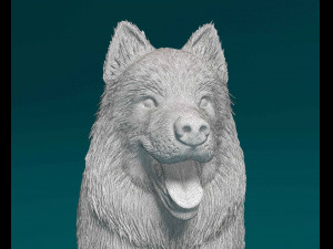Samoyed 3D 打印模型